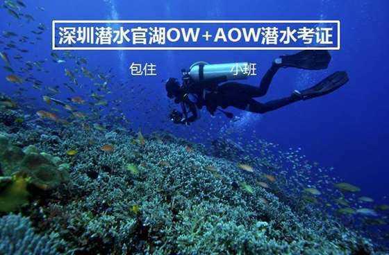 逗小猴开心系列205