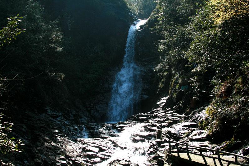 名流设计